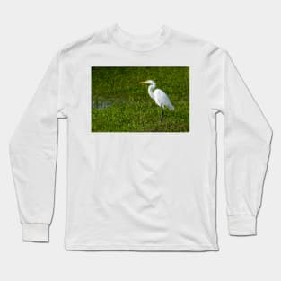 Great Egret As Still As A Statue Long Sleeve T-Shirt